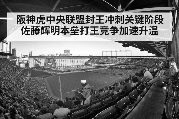 阪神虎中央联盟封王冲刺关键阶段 佐藤辉明本垒打王竞争加速升温